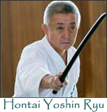 hontai yoshin ryu ju jutsu