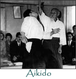 aikido