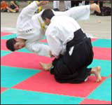 nage no kata