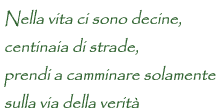 il motto dell'hontai yoshin ryu ju jutsu: nella vita ci sono 					decine, centinaia di strade, prendi a camminare solamente sulla via della verit